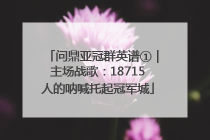 问鼎亚冠群英谱①｜主场战歌：18715人的呐喊托起冠军城