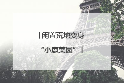 闲置荒地变身“小鹿菜园”