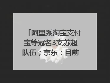 阿里系淘宝支付宝等冠名3支苏超队伍；京东：目前京东币链科技并没有开始发行稳定币｜早资道