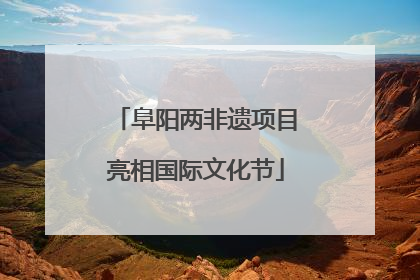阜阳两非遗项目亮相国际文化节