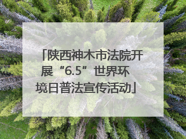 陕西神木市法院开展“6.5”世界环境日普法宣传活动