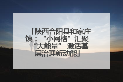 陕西合阳县和家庄镇：“小网格”汇聚“大能量” 激活基层治理新动能