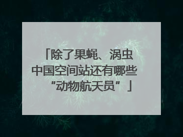 除了果蝇、涡虫 中国空间站还有哪些“动物航天员”