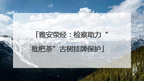 雅安荥经：检察助力“枇杷茶”古树挂牌保护