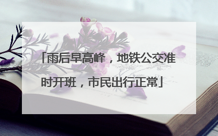 雨后早高峰，地铁公交准时开班，市民出行正常