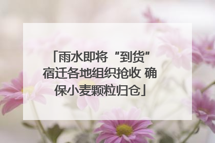 雨水即将“到货” 宿迁各地组织抢收 确保小麦颗粒归仓