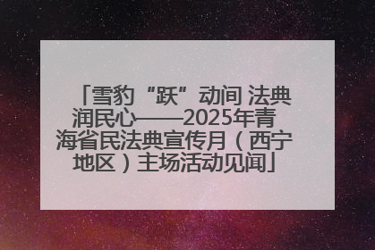 雪豹“跃”动间 法典润民心——2025年青海省民法典宣传月（西宁地区）主场活动见闻