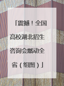 震撼！全国高校湖北招生咨询会燃动全省（组图）