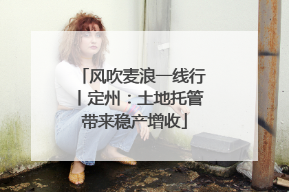 风吹麦浪一线行丨定州：土地托管带来稳产增收