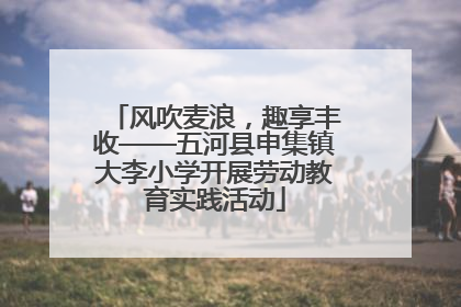 风吹麦浪，趣享丰收——五河县申集镇大李小学开展劳动教育实践活动