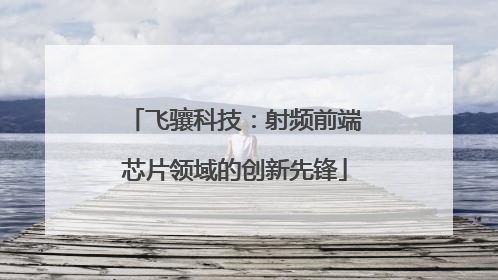 飞骧科技：射频前端芯片领域的创新先锋