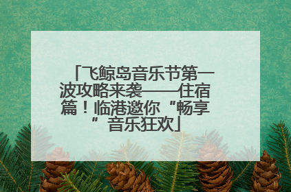 飞鲸岛音乐节第一波攻略来袭——住宿篇！临港邀你“畅享”音乐狂欢