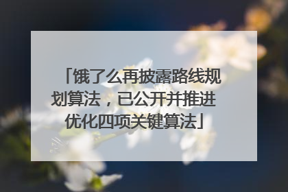 饿了么再披露路线规划算法，已公开并推进优化四项关键算法