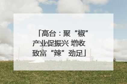高台：聚“椒”产业促振兴 增收致富“辣”劲足