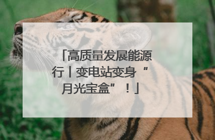 高质量发展能源行丨变电站变身“月光宝盒”！