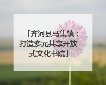 齐河县马集镇：打造多元共享开放式文化书院