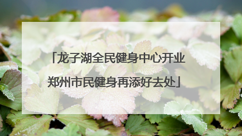 龙子湖全民健身中心开业 郑州市民健身再添好去处
