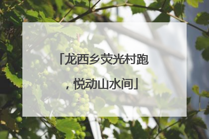 龙西乡荧光村跑，悦动山水间