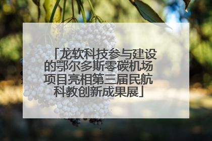 龙软科技参与建设的鄂尔多斯零碳机场项目亮相第三届民航科教创新成果展