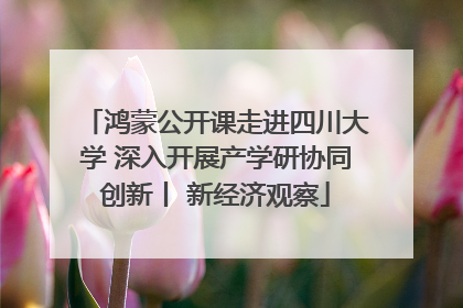 鸿蒙公开课走进四川大学 深入开展产学研协同创新丨 新经济观察
