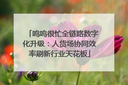 鸣鸣很忙全链路数字化升级：人货场协同效率刷新行业天花板