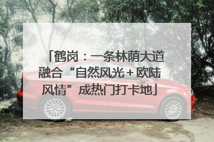 鹤岗：一条林荫大道融合“自然风光＋欧陆风情”成热门打卡地
