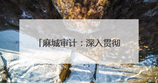 麻城审计：深入贯彻中央八项规定精神 筑牢审计质量生命线
