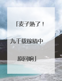 麦子熟了！九千载稼穑中原回响