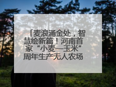 麦浪涌金处，智慧绘新篇！河南首家“小麦—玉米”周年生产无人农场喜迎丰收