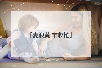麦浪黄 丰收忙