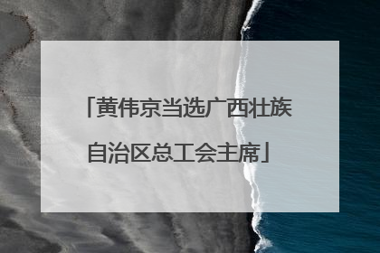 黄伟京当选广西壮族自治区总工会主席