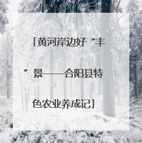 黄河岸边好“丰”景——合阳县特色农业养成记