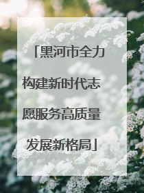 黑河市全力构建新时代志愿服务高质量发展新格局