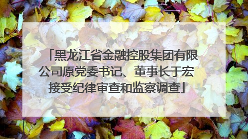 黑龙江省金融控股集团有限公司原党委书记、董事长于宏接受纪律审查和监察调查