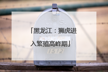 黑龙江：狮虎进入繁殖高峰期