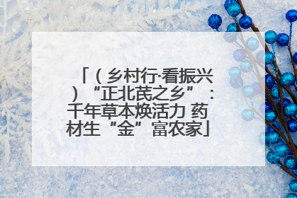 （乡村行·看振兴）“正北芪之乡”：千年草本焕活力 药材生“金”富农家