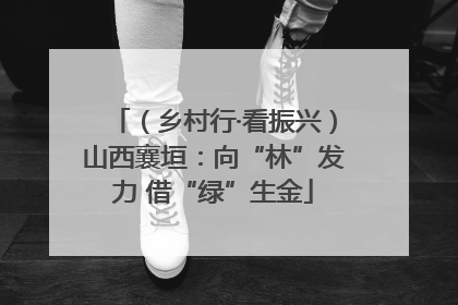 （乡村行·看振兴）山西襄垣：向“林”发力 借“绿”生金