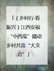 （乡村行·看振兴）江西安福“小西瓜”撬动乡村共富“大支点”