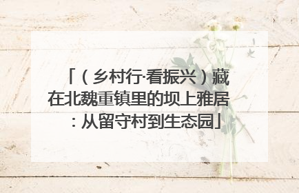 （乡村行·看振兴）藏在北魏重镇里的坝上雅居：从留守村到生态园