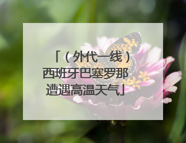 （外代一线）西班牙巴塞罗那遭遇高温天气