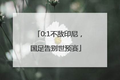 0:1不敌印尼，国足告别世预赛