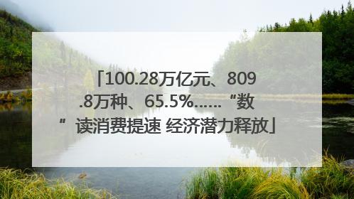 100.28万亿元、809.8万种、65.5%……“数”读消费提速 经济潜力释放