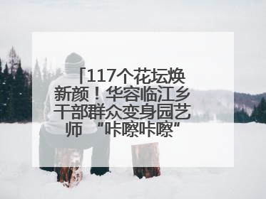 117个花坛焕新颜！华容临江乡干部群众变身园艺师 “咔嚓咔嚓”省下数万元