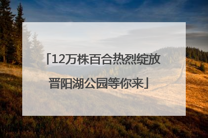 12万株百合热烈绽放 晋阳湖公园等你来