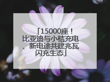 15000座！比亚迪与小桔充电、新电途共建兆瓦闪充生态