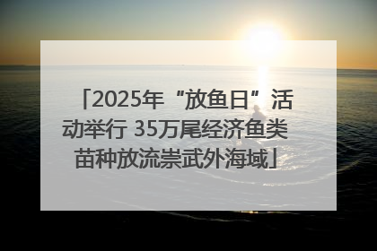 2025年“放鱼日”活动举行 35万尾经济鱼类苗种放流崇武外海域