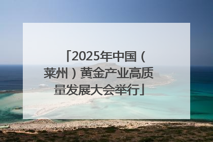 2025年中国（莱州）黄金产业高质量发展大会举行