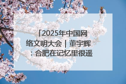 2025年中国网络文明大会｜董宇辉：合肥在记忆里很遥远也很亲切