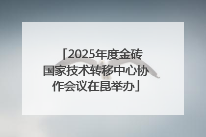 2025年度金砖国家技术转移中心协作会议在昆举办