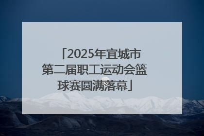 2025年宜城市第二届职工运动会篮球赛圆满落幕